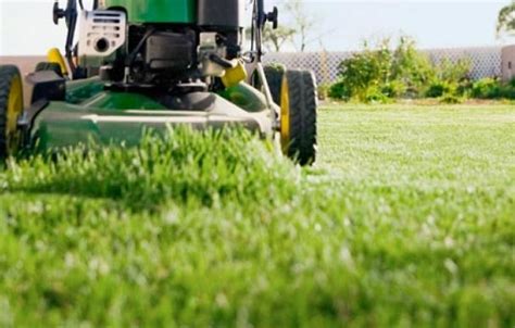 Here are helpful tips on how to fertilize your lawn in jacksonville, fl. Lawn Watering Tips for Lawn Care in Simpsonville