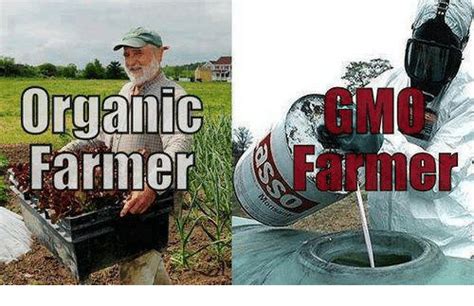 Organic Farmer Gmo Farmer Meme On Meme