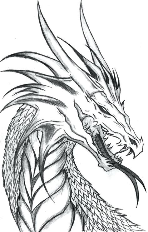 Found 10 free dragons drawing tutorials which can be drawn using pencil, market, photoshop, illustrator just follow step by step. Dragon Outline Drawing at GetDrawings | Free download