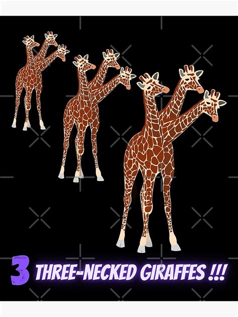 3 Three Necked Giraffes In Black Photographic Print By Cosmicstory