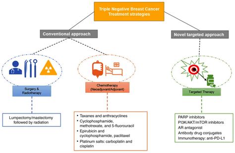 Triple‑negative Breast Cancer A Run‑through Of Features
