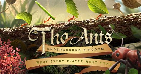 The Ants Underground Kingdom Guide What Every Player Must Know