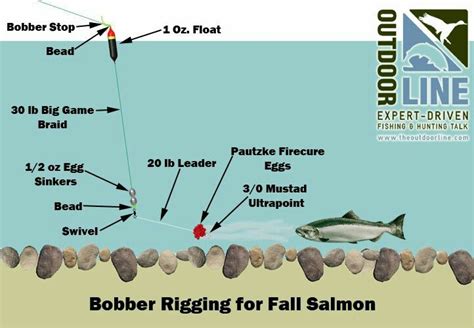 Bobber Rigging For Fall Salmon Salmon Fishing Fishing Tips Trout