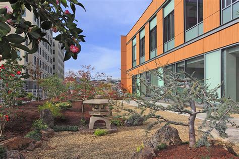 Announcing Our New Name Osher Center For Integrative Health Ucsf Osher Center For Integrative