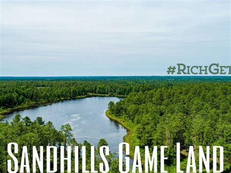Sandhills Gamelands Richmond County Hoffman Nc