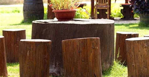 Tree Stump Chair Ideas 8 Cool Crafts You Can Make From Fallen Trees