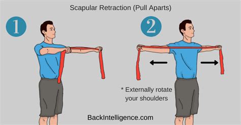 How To Fix Rounded Shoulders Posture 5 Exercises