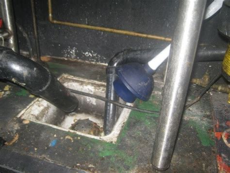 In some cases, you may want to consider a kitchen sink replacement. Kitchen Mold | How to Prevent and Get Rid of Mold in Your ...