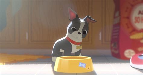 Cute Boston Terrier Winston Stars In Feast An Animated Short Running