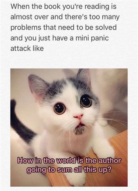 7 Cat And Book Memes Only Reading Addicts Can Relate To Book Jokes