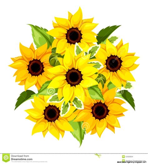 Sunflower Vector Illustration Wallpapers Gallery
