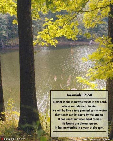 Jeremiah 177 8 Illustrated A Tree Planted By The Water