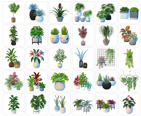 Plants Collection By Nynaevedesign Liquid Sims