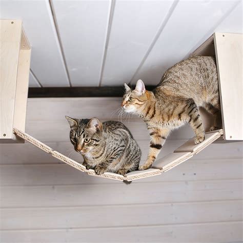 Ceiling Complex For Cats In 2021 Cats Custom Cat Trees Cat Wall
