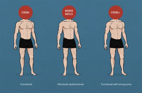 The Skinny Guys Guide To Aesthetics How To Build An Attractive Physique