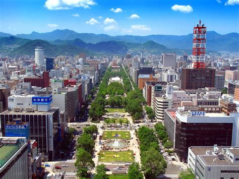 Aerial Photography Of Park At The Center Of The City During Day Japan