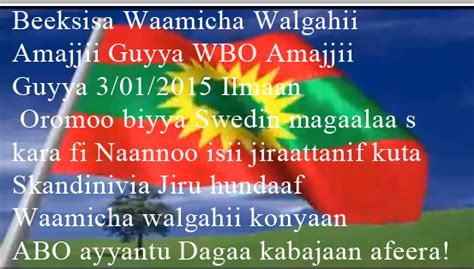 Amajjii Guyyaa 312015 Hawaasa Oromoo Fagoo Dhihoo Jiran Hunda Konyaan