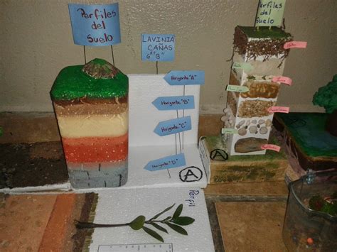 Maqueta Tipos De Suelo Actividades Escolares Tipos De Suelo Usos Del Suelo Y Suelos Kulturaupice