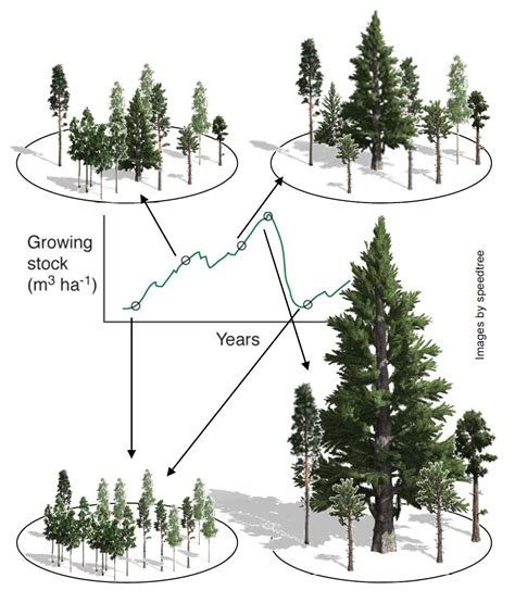 Forest Ecology Openaccess