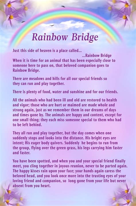 Just this side of heaven is a place called rainbow bridge. rainbow bridge pet poem printable - Google Search ...