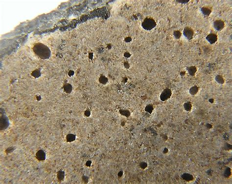 Unusual Meteorite Features Ibitira With Vesicles Meteorites Australia