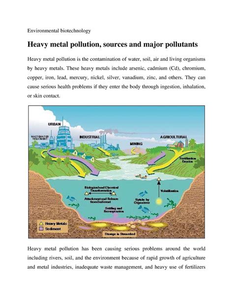 Heavy Metal Pollution Sources And Major Pollutants Environmental