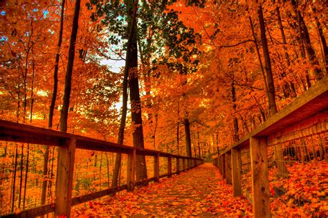 Cool Fall Wallpapers Lodge State