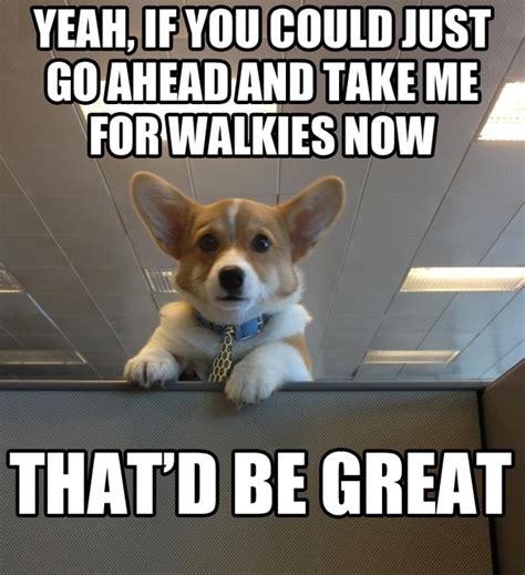 Bring Your Dog To Work Day Meme Guy
