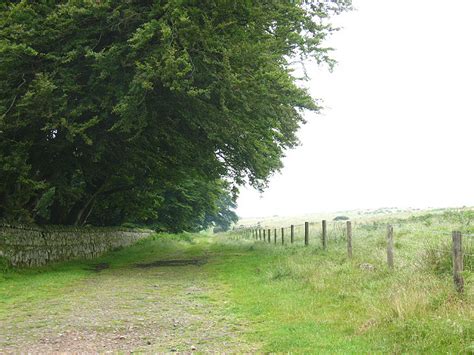 Track To Weetwood Moor © Stephen Craven Cc By Sa20 Geograph