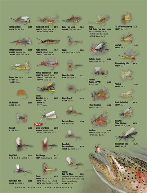 Fly Fishing Flies Chart