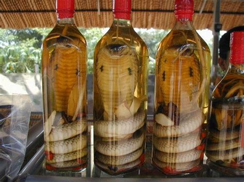 ☞ for more awesome videos, subscribe our channels!! Kim Jong-un necks snake wine for virility
