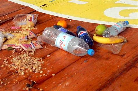 Heres Why The Famous Five Second Rule For Dropped Food Is Not Just A