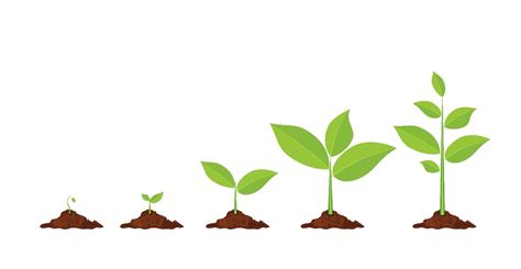 Plant a SEED: Four Approaches to Grow Your Tobacco Cessation Services ...
