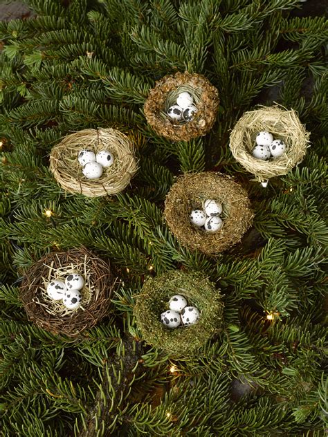 Christmas tree with cute speech bubbles. Bird Nest Ornament, Set of 6 | Christmas Tree Ornaments ...