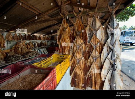 Sri Lanka Western Province Beruwala Dried Fish At Stall Stock Photo