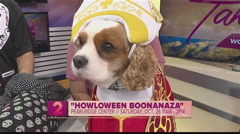 Howloween Boonanza To Feature Doggie Costume Contest At Pearlridge