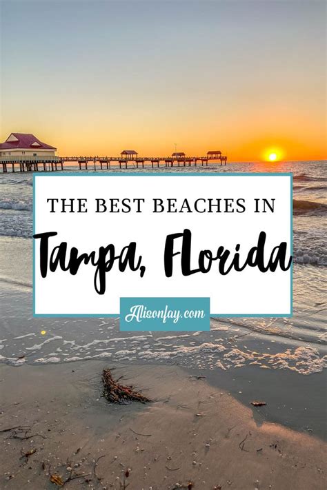 The Best Beaches In Tampa Florida