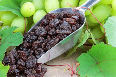 Are Raisins Good For You Benefits And Nutrition
