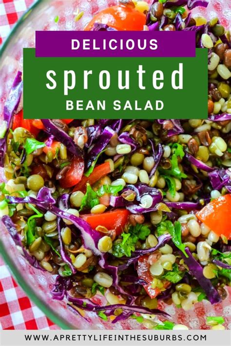 Sprouted Bean Salad A Pretty Life In The Suburbs
