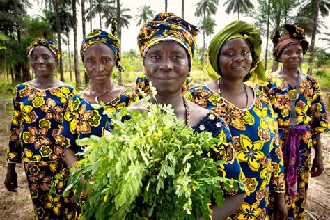 Guinea Rural Womens Cooperative Generates Income And Improves