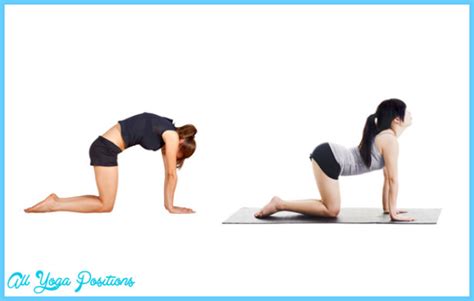 Available to unlock after completing singapore in empire of cats: Cat Cow Pose Yoga - AllYogaPositions.com