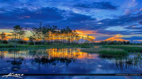 Florida Wetlands Sunset The Fishing Hole Hdr Photography By Captain Kimo