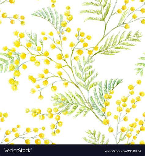 Watercolor Mimosa Pattern Royalty Free Vector Image Flower