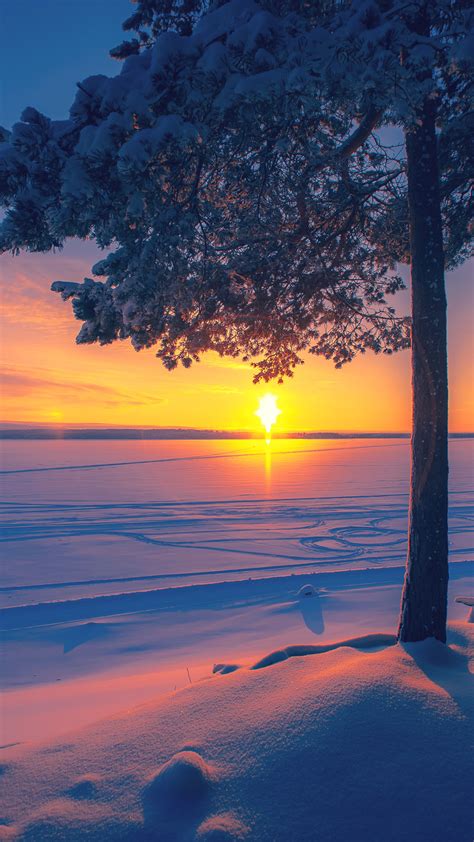 Cold Winter Day Sunset Landscape With Snowy Trees Near Lake Sotkamo