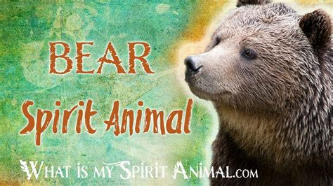 Bear Spirit Animal Bear Totem And Power Animal Bear Symbolism