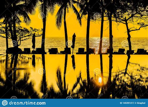 Beautiful Silhouette Coconut Palm Tree On Sky Around Swimming Pool In