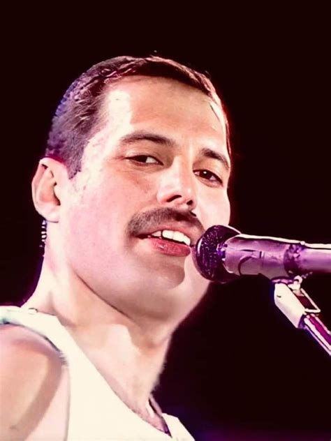 Freddie Mercury Teeth Queen Freddie Mercury Beautiful Celebrities