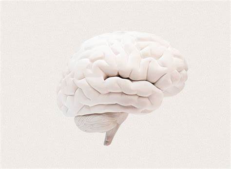 Что такое психологическая диета и в чем ее польза – HEROINE Картинка - Что такое психологическая диета и в чем ее польза – HEROINE