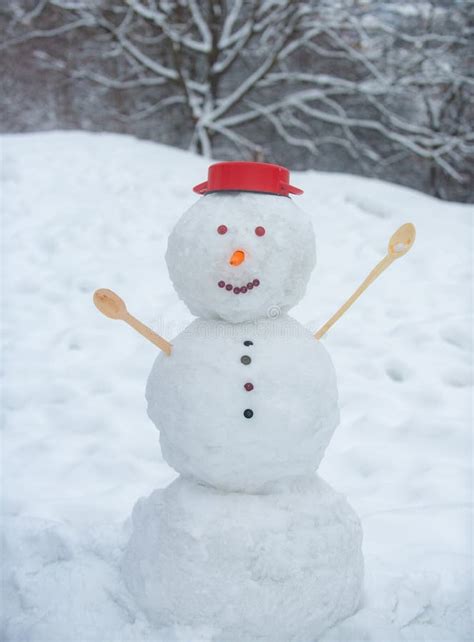Funny Snowmen Winter Scene With Snowman On White Snow Background I