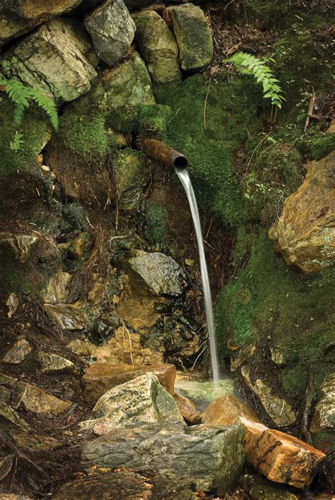Should You Drink From Roadside Springs — Penn State Ag Science Magazine